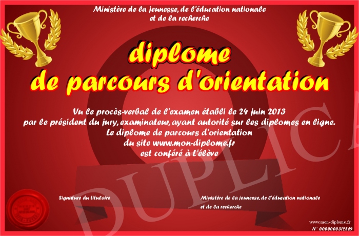 diplome-de-parcours-d-orientation
